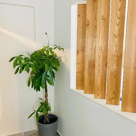 Aparthotel Aeolia *