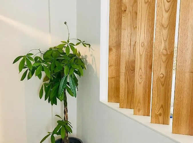 Apart-hotel Aeolia 4*